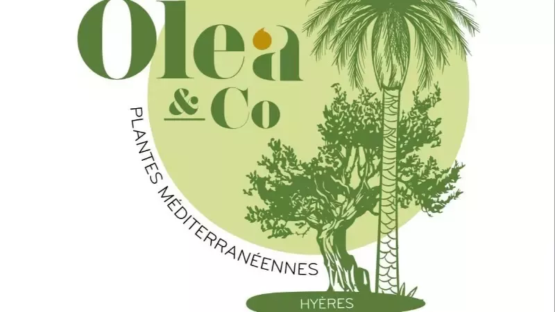 OLEA & CO